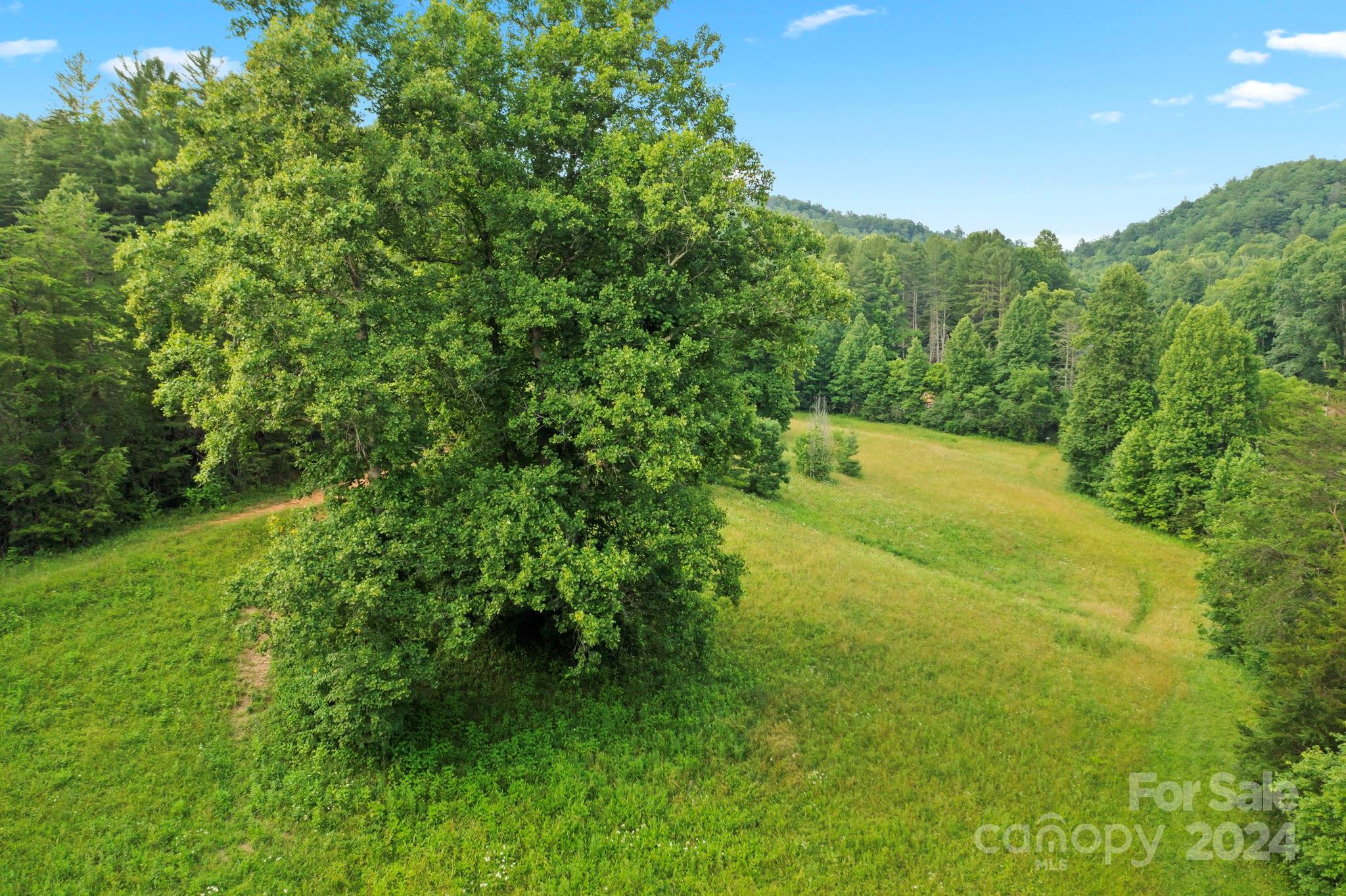 TBD Zacks Fork Road