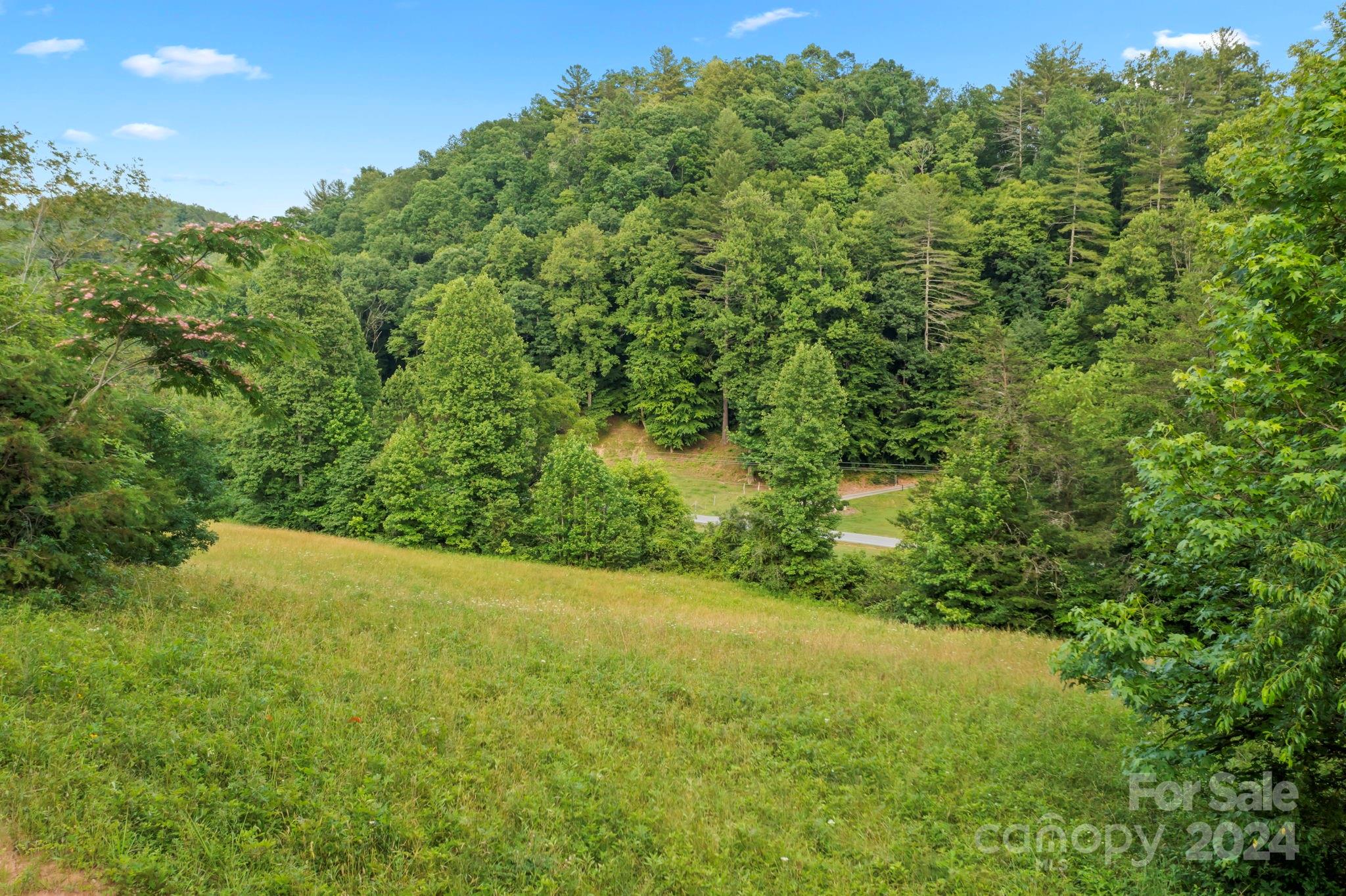 TBD Zacks Fork Road
