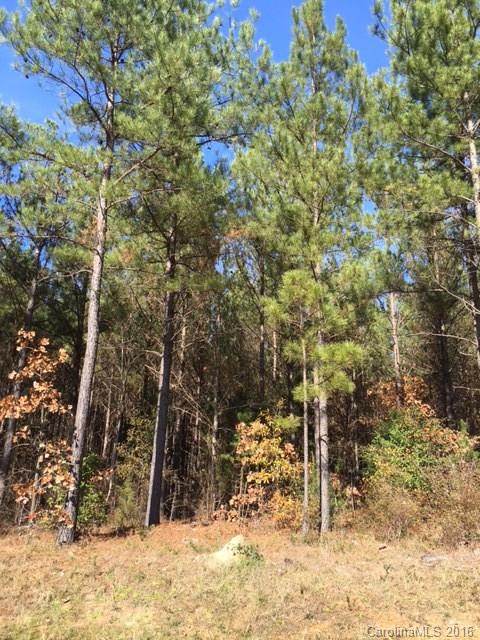 Catawba Shores Estates - Land