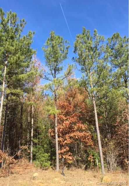 Catawba Shores Estates - Land