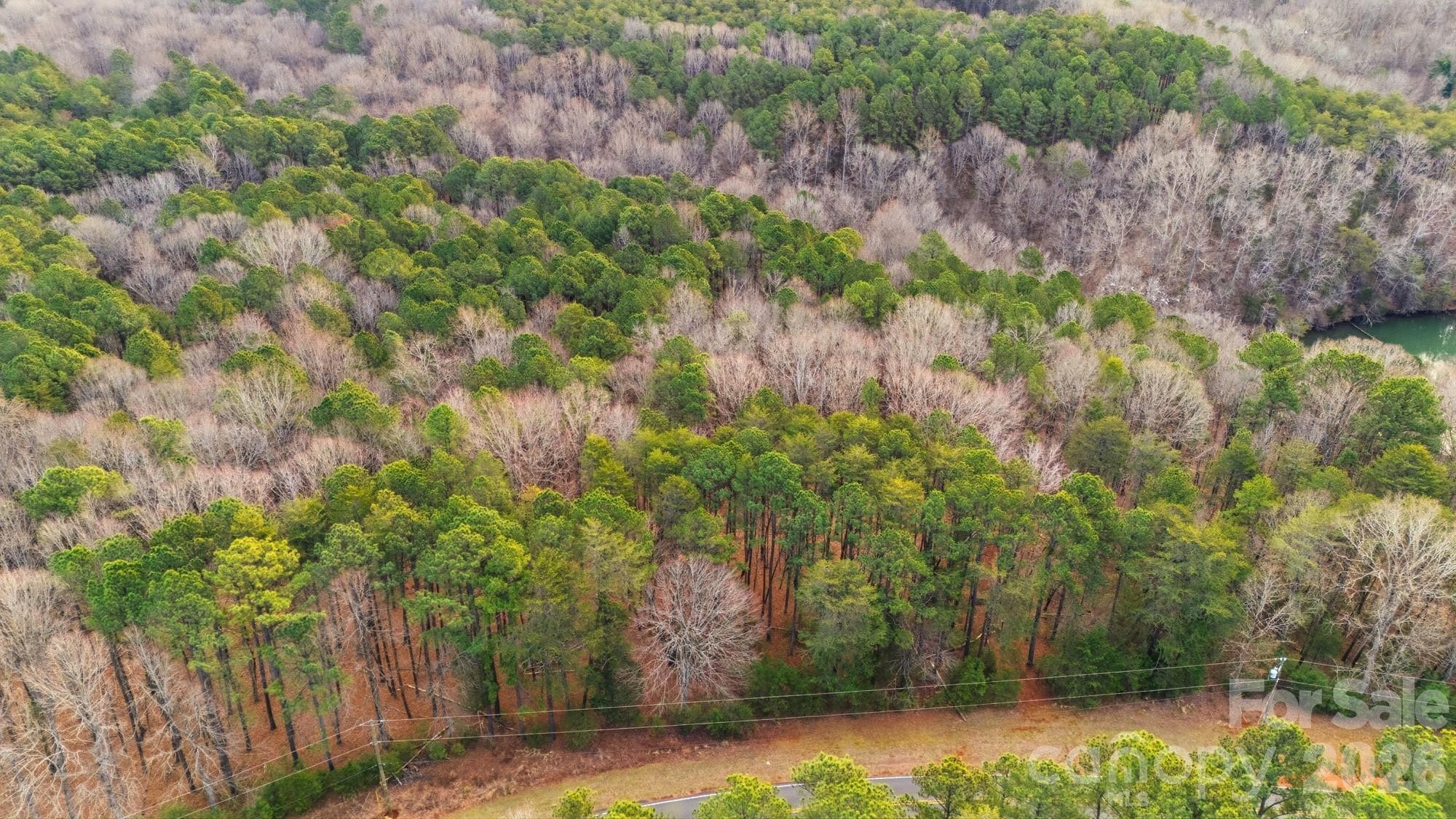 The Sanctuary - Land