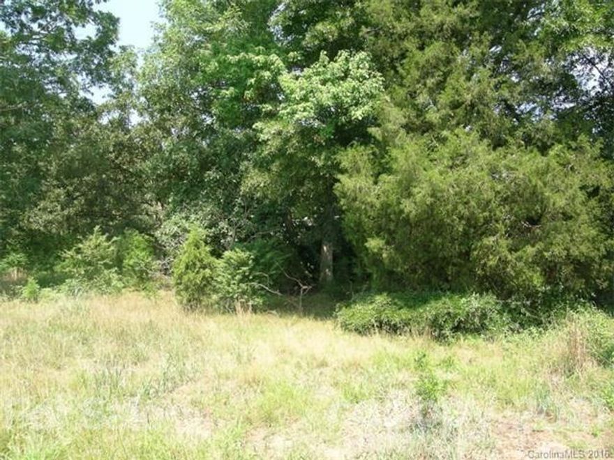 Level land, no gullies/creeks, wooded, land only, no home on property. Approx 375 ft road frontage on S Tryon St (4 lane major highway). Driveway located next to chain link fence. Owners will assist with zoning changes. Prime land close to airport, downtown, light rail line, I-85,  I-77 and I-485 . Development all around: hotels, apartments, retail, commercial.