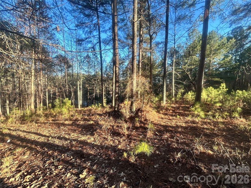 Here’s your chance to own a rare one-acre wooded lot in the highly sought-after Anchor’s Landing community! Tucked among mature trees, this property provides the privacy and peaceful atmosphere perfect for building a primary residence or a weekend retreat. rest easy knowing that the property been perked and ready for you to build your dream home. The setting feels like your own personal escape. Anchor’s Landing offers a lifestyle full of options here are a few of the many amenities take advantage of scenic walking trails, a clubhouse, a refreshing community pool, stocked ponds, street lighting, basketball and pickleball courts, plus convenient boat storage for easy lake days. Spend your free time fishing, etc. Don't wait come and make this place your own.