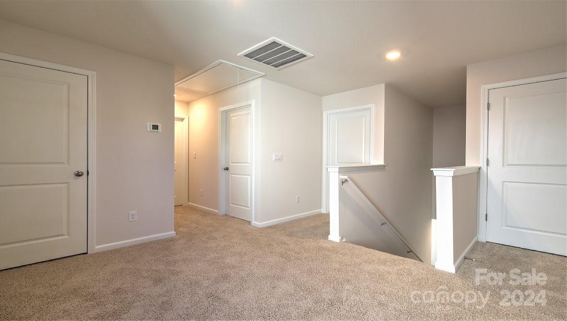 The Mills at Long Creek - Residential