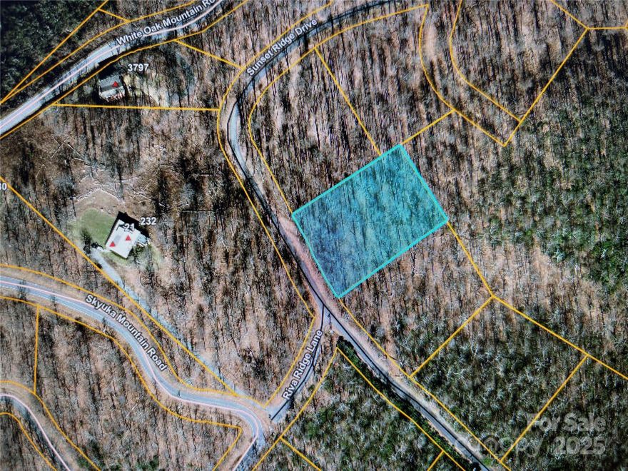 Desirable Sunset Ridge Drive! Lot 12 is a 1 acre perfect homesite within esteemed White Oak Mountain Association. This is the perfect canvas to build your dream mountain home with great views. Live where nature and tranquility unite! This homesite has a cut-in driveway, just needs clearing. Needs Septic & Well installed. Enjoy the WOMA amenities: Shunkawauken Waterfall, private ponds for fishing, Picnic Pavillon for community and private parties, walking trails, plus amazing long range views at scenic overlook. Close to quaint towns of Columbus, Tryon, Landrum, Asheville and Greenville for hiking, biking, ziplining, fine & casual dining. concerts, theatre, plus all that Tryon International Equestrian Center has to offer. 3 Airports within an hour plus of this wonderful homesite. Build your personal sanctuary and craft the home you've always envisioned. Check out White Oak Mountain Association website at WOMAINC.org.