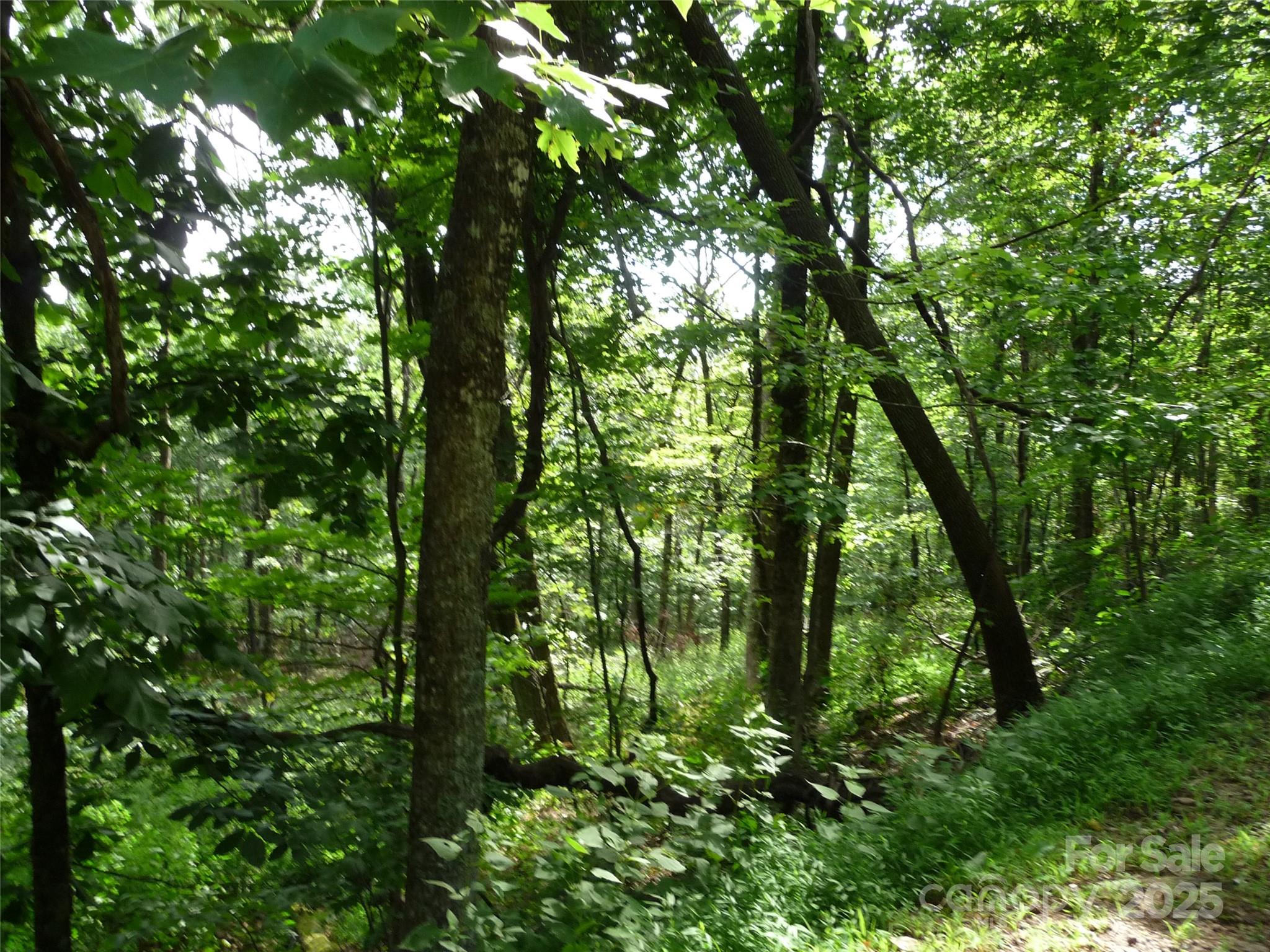 Lot 12 Sunset Ridge Drive Lot 12