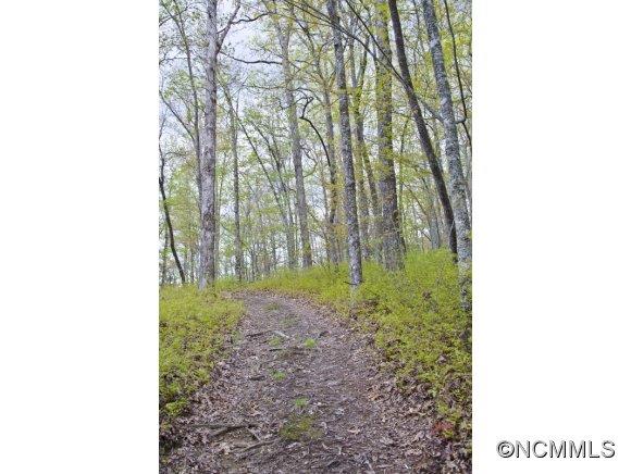 Sherwood Forest - Residential