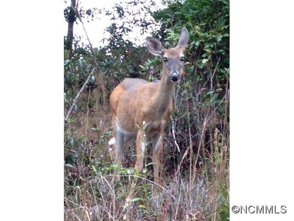 Sherwood Forest - Residential