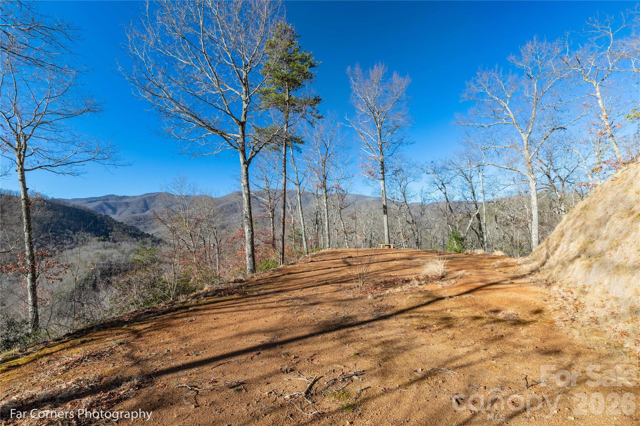 Blue Ridge Vistas - Residential