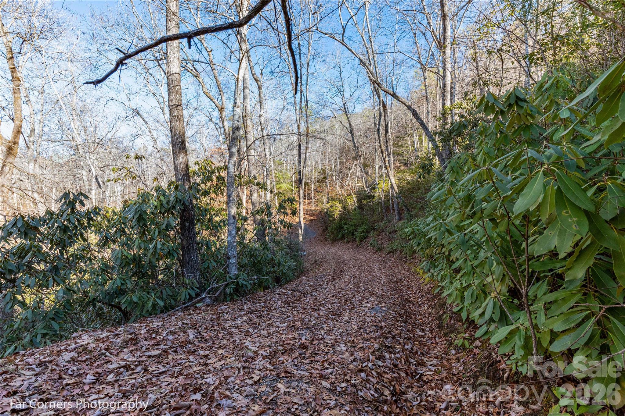 Blue Ridge Vistas - Residential