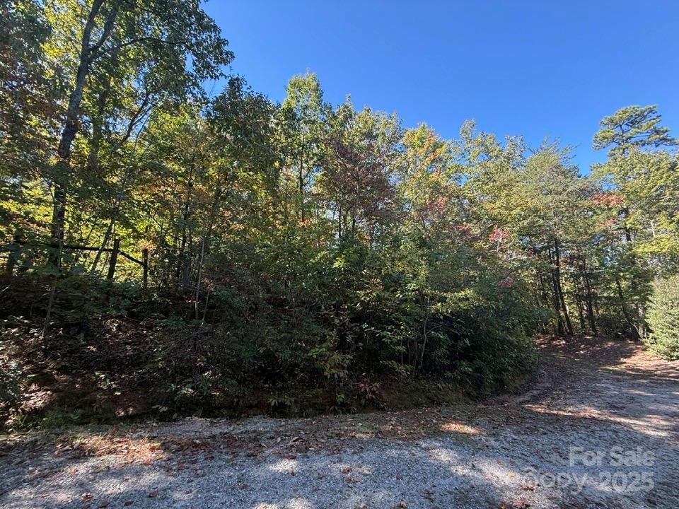 Lake Lanier - Residential