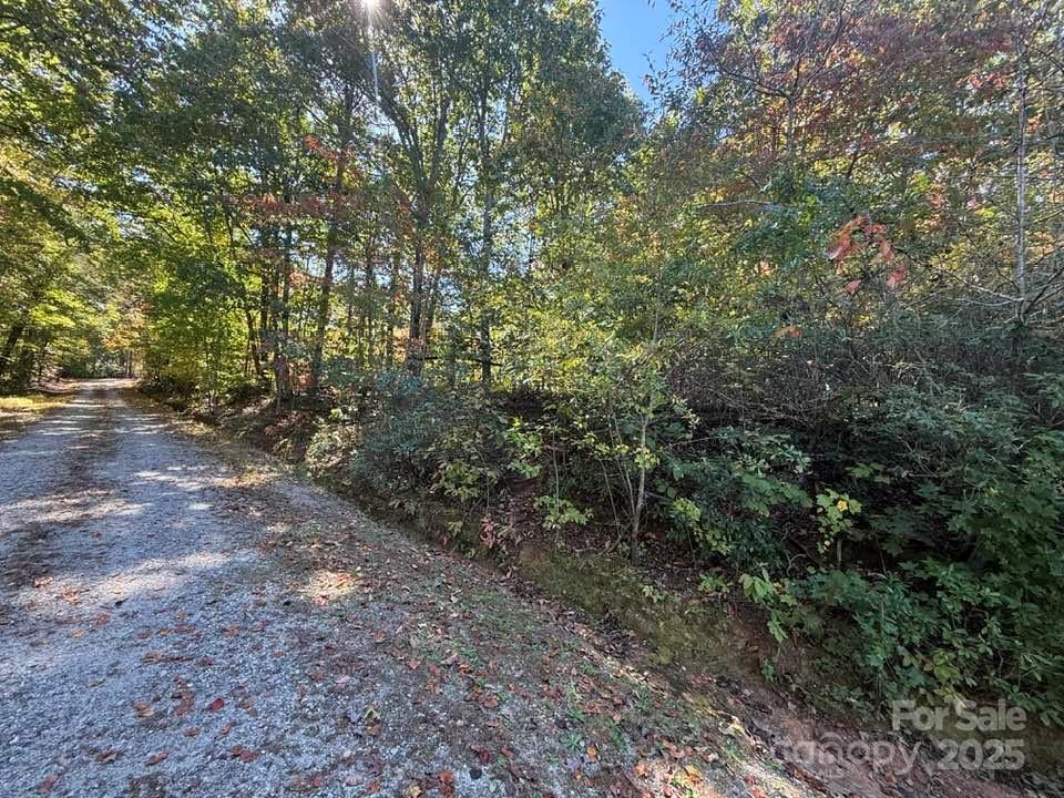 Lake Lanier - Residential