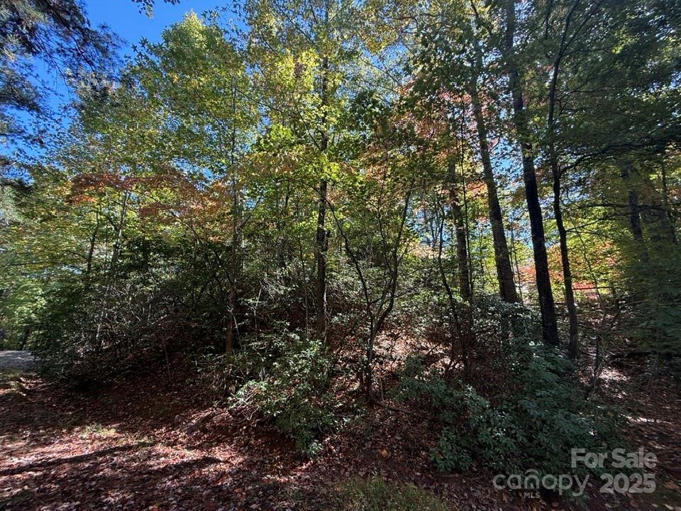 Lake Lanier - Residential