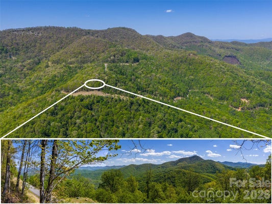 6 LOVEBIRD LN, CANTON, NC 28716 - Image 4c4fb5259cb21ddb6dc36f959b92289e/512031798