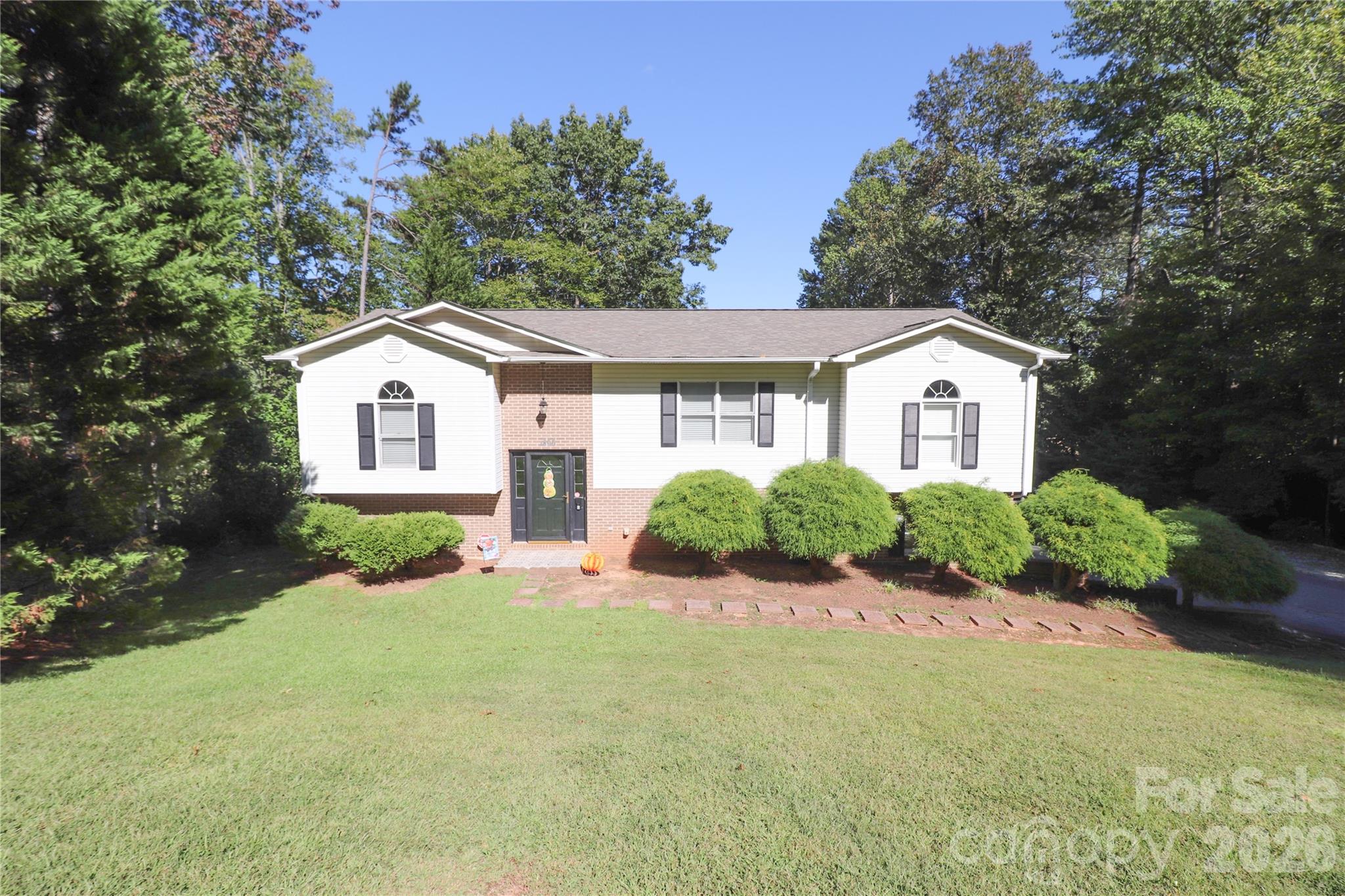1896 Timber Trace