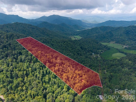 42 SUGAR HILL RD, CLYDE, NC 28721 - Image 4c58dbb59cd17b714412cb83d7cf3874/3545021975