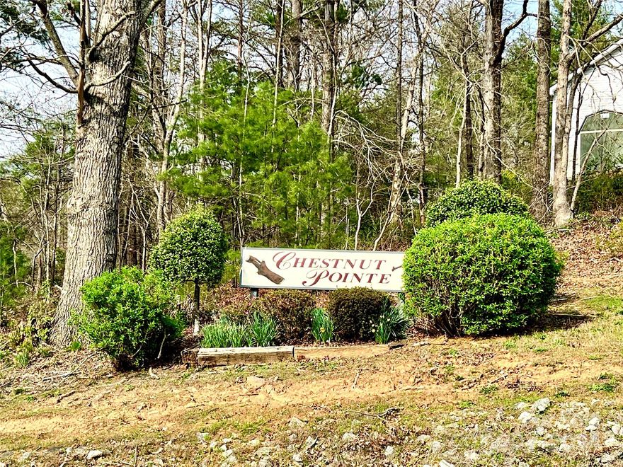 Great lot in a small neighborhood of Chestnut Pointe.  Picturesque and ideal location with all the luxuries of country living with surrounding pastures and mountain views, but only minutes away from convenience. Development is off of Hwy 64/90, convenient to Lenoir, Hickory and US Hwy 321 to travel to the High Country. County water and underground utilities available.  Priced to sell! Lot #4