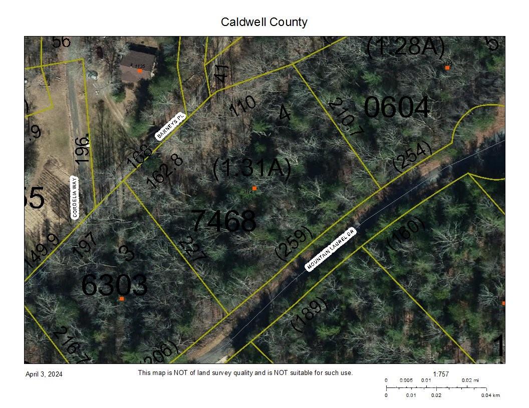 3114 Mountain Laurel Drive