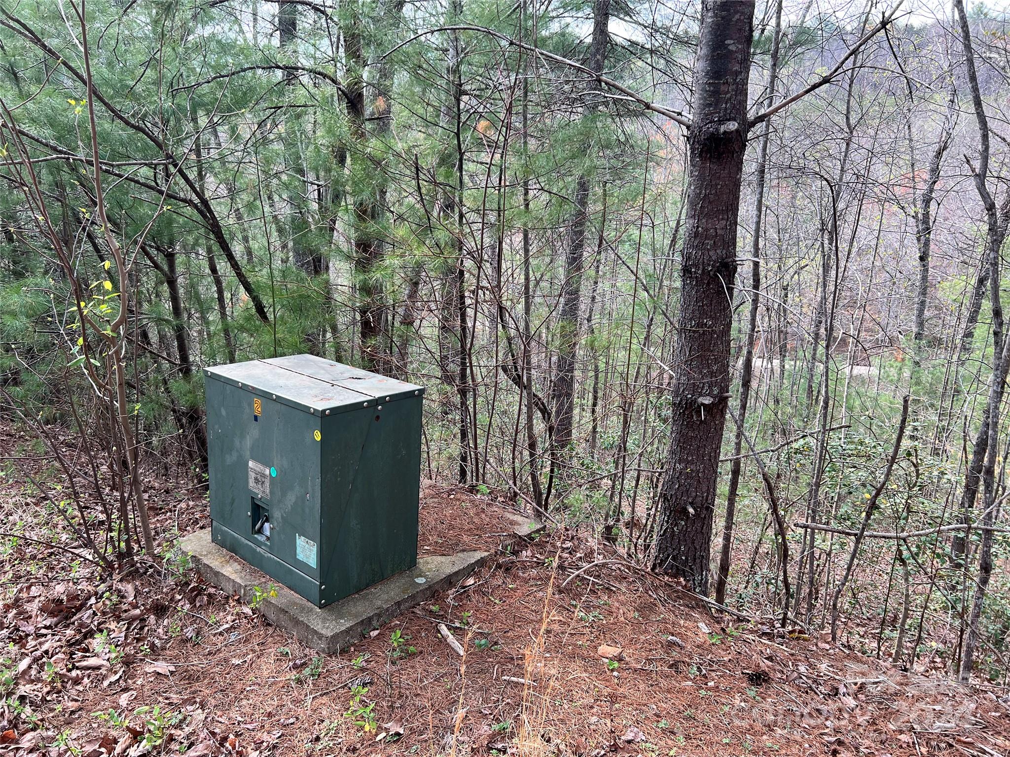 3114 Mountain Laurel Drive