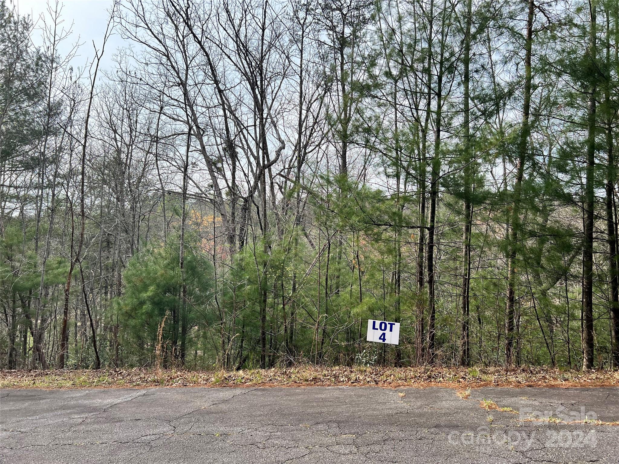 3114 Mountain Laurel Drive