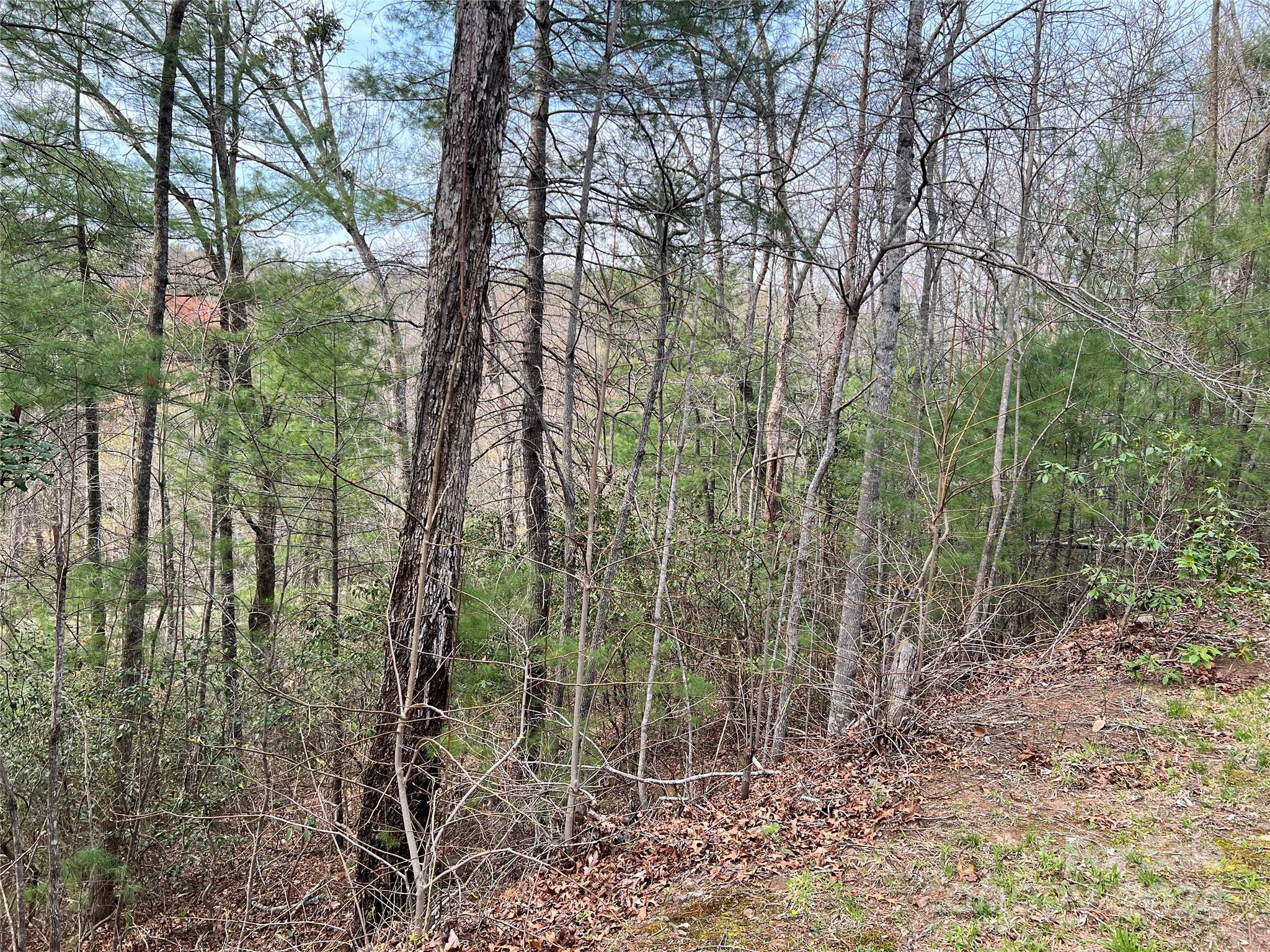 3114 Mountain Laurel Drive