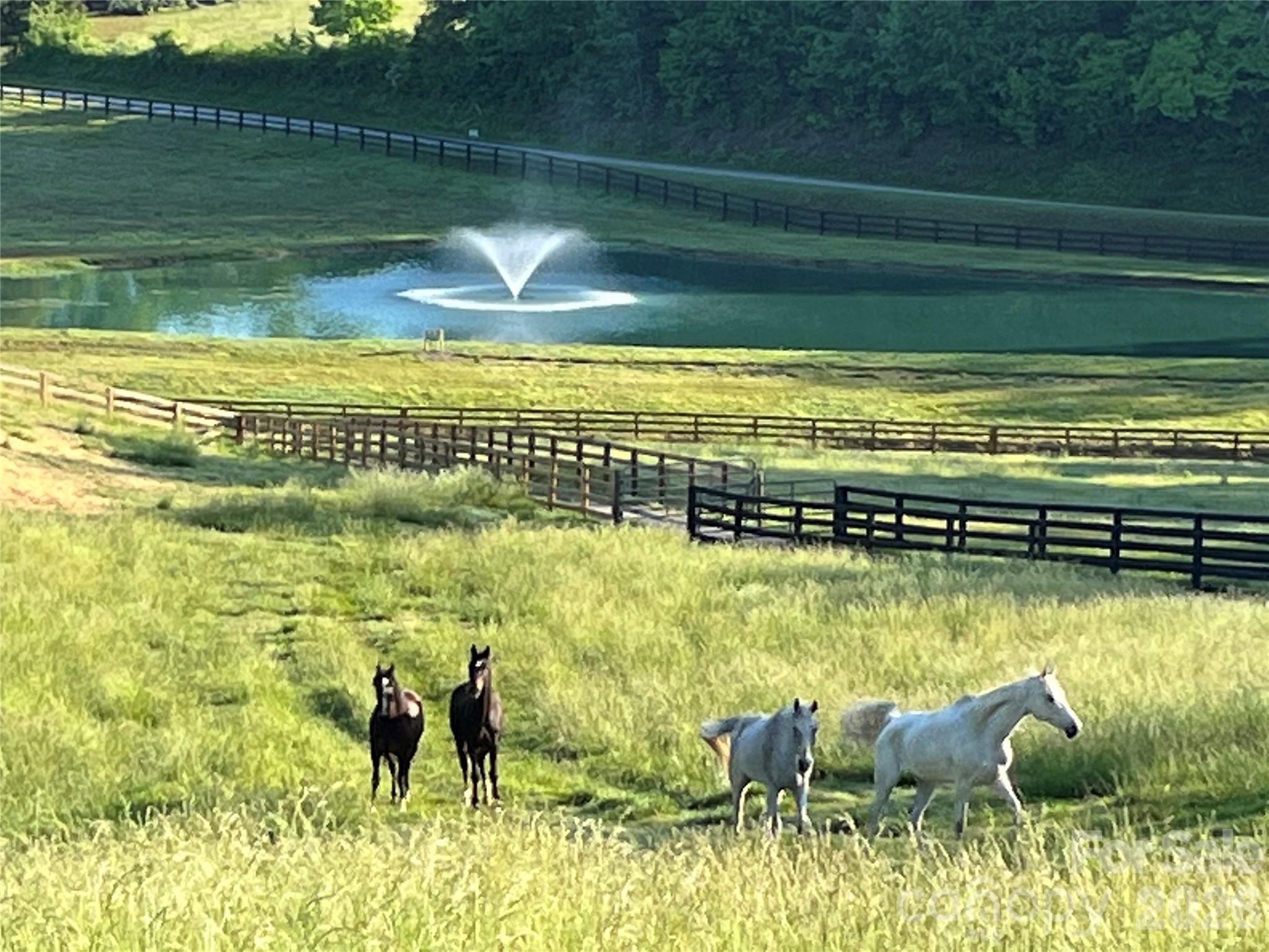 The Coves Mountain River Club - Land