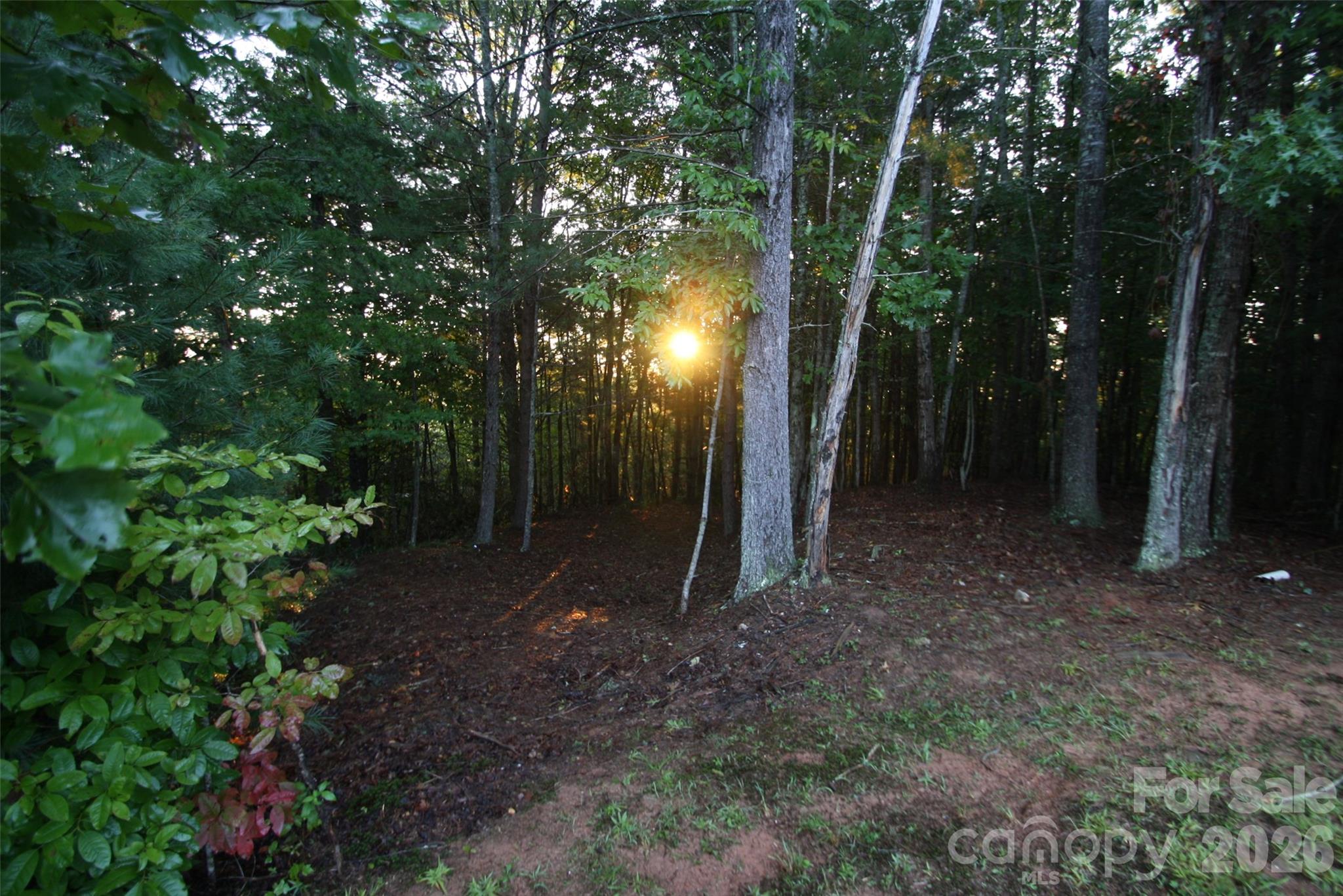 TBD Poplar Bluff Drive 36