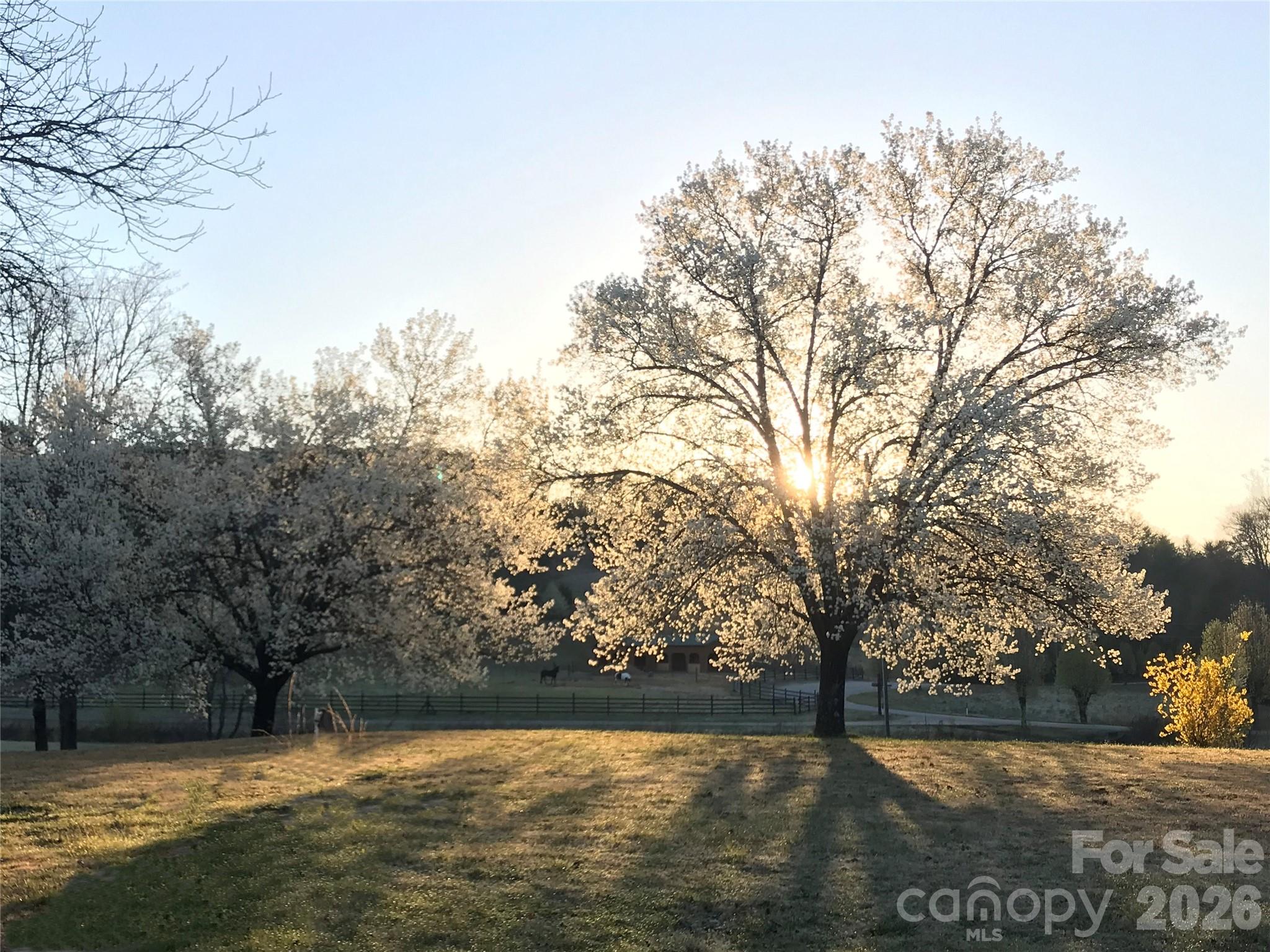 The Coves Mountain River Club - Land