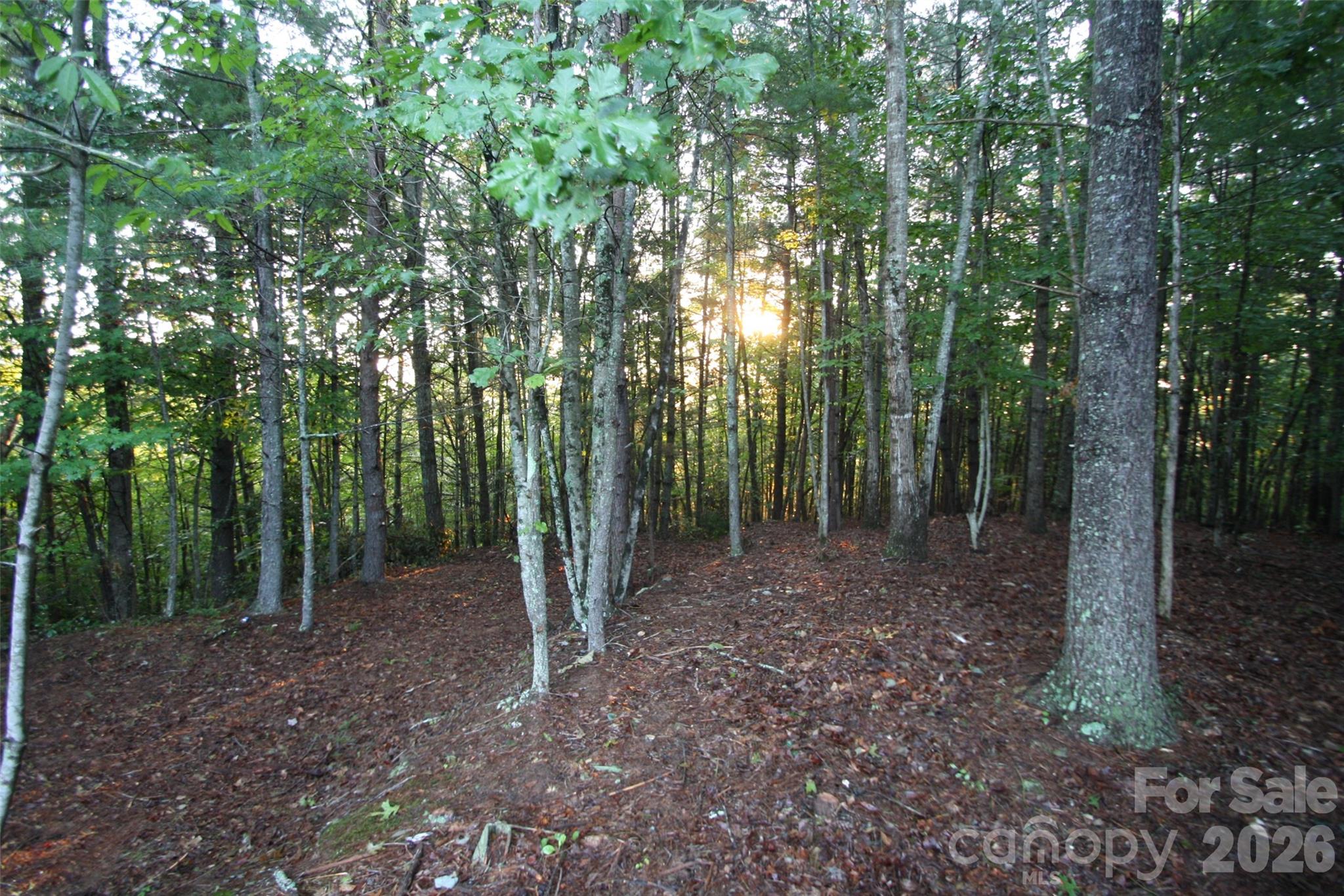 TBD Poplar Bluff Drive 36