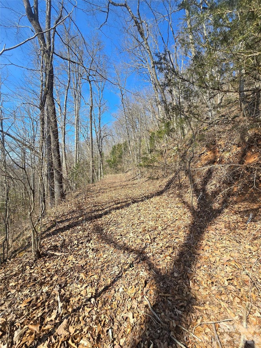 Recently surveyed to know true boundaries!! Discover the potential of Lot 30 on Black Mountain Rd—a beautiful 2.25-acre parcel located in a well-established neighborhood in Cullowhee, NC. This gently sloping lot offers easy access from two different roads and has a peaceful setting surrounded by nature. Making it a perfect spot for your mountain getaway or year-round home. Situated just minutes from Western Carolina University (WCU), this property is ideal for those seeking proximity to campus life, local restaurants, and community events, while still enjoying privacy and space. Cullowhee continues to grow as a vibrant college town, home to cultural programs, outdoor activities, and a strong sense of community. Whether you're looking to build a primary residence, vacation home, or investment property, Lot 30 offers the ideal blend of convenience, natural beauty, and opportunity. Public access to nearby rivers and hiking trails adds to the outdoor appeal of this desirable location.