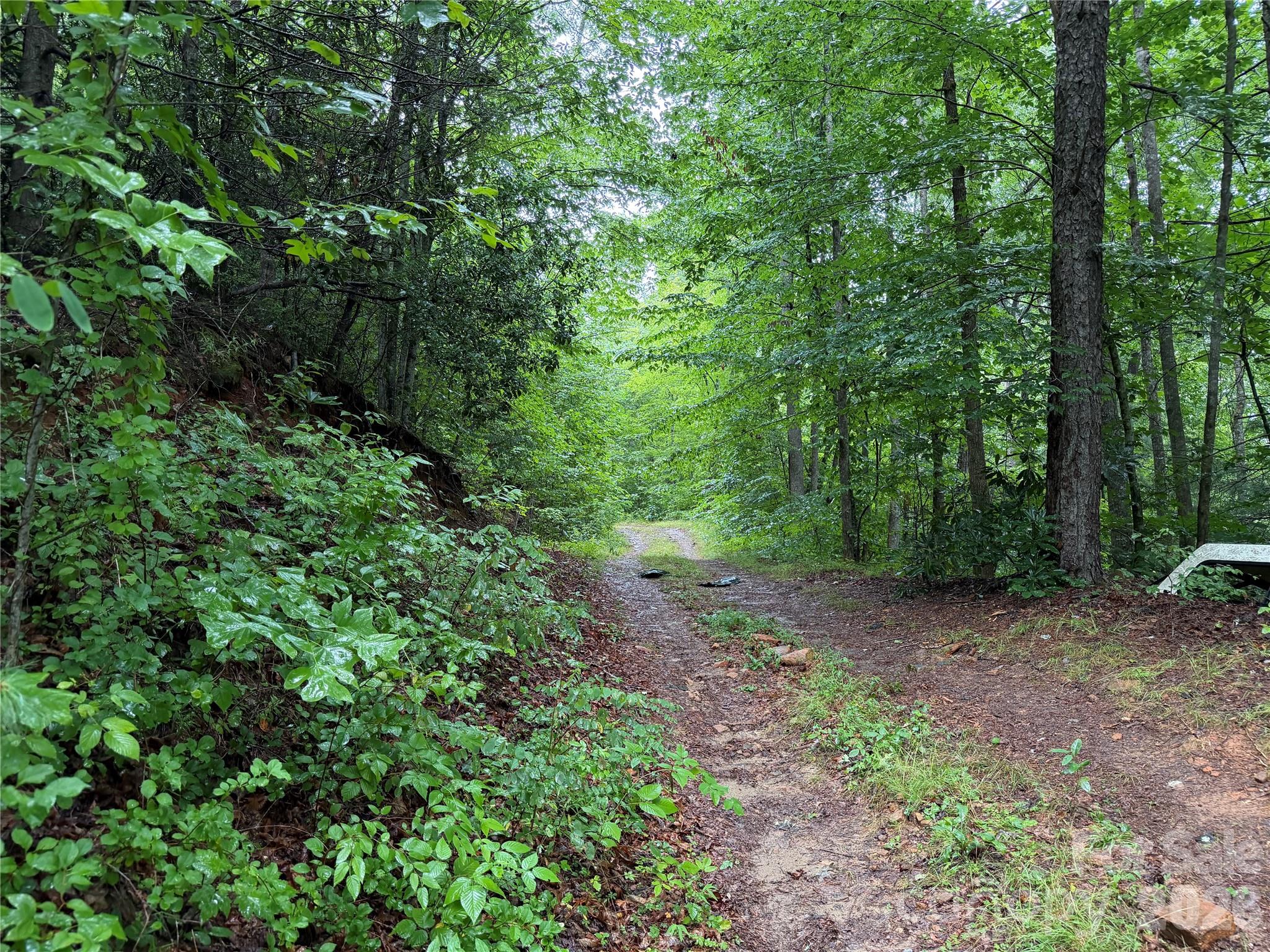 Off Donald McCall Road