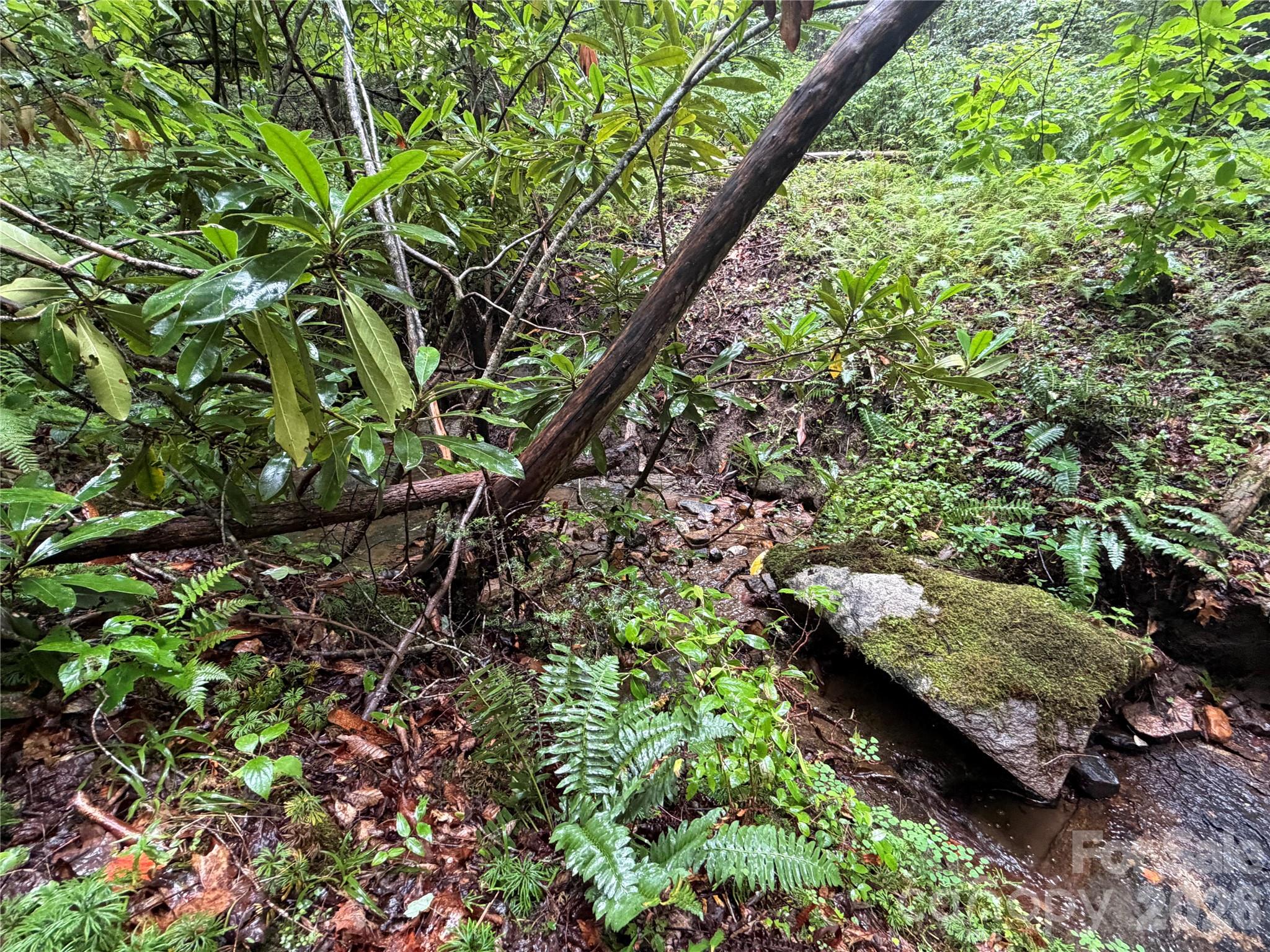 Off Donald McCall Road