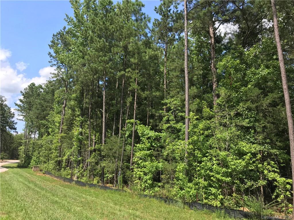 Virginia's Woods - Land