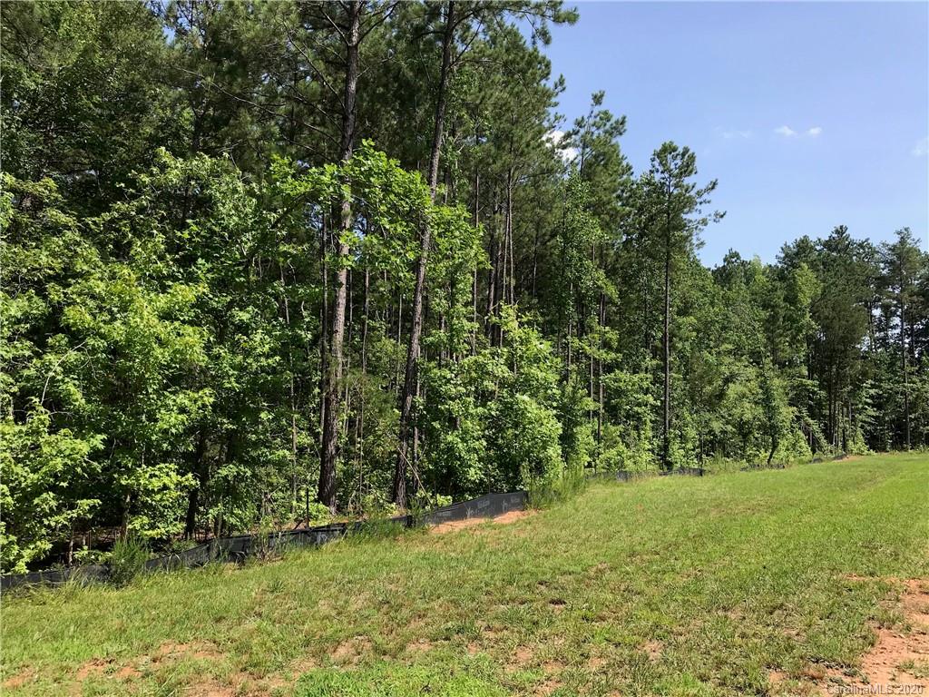 Virginia's Woods - Land