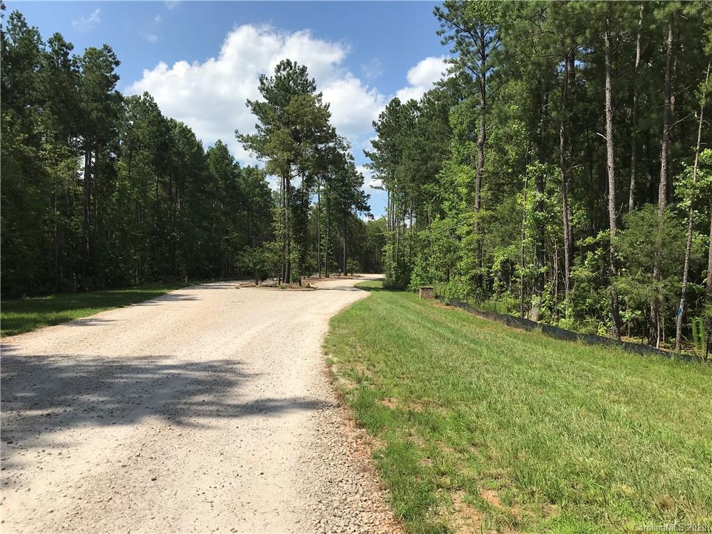 Virginia's Woods - Land