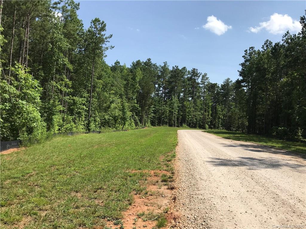 Virginia's Woods - Land