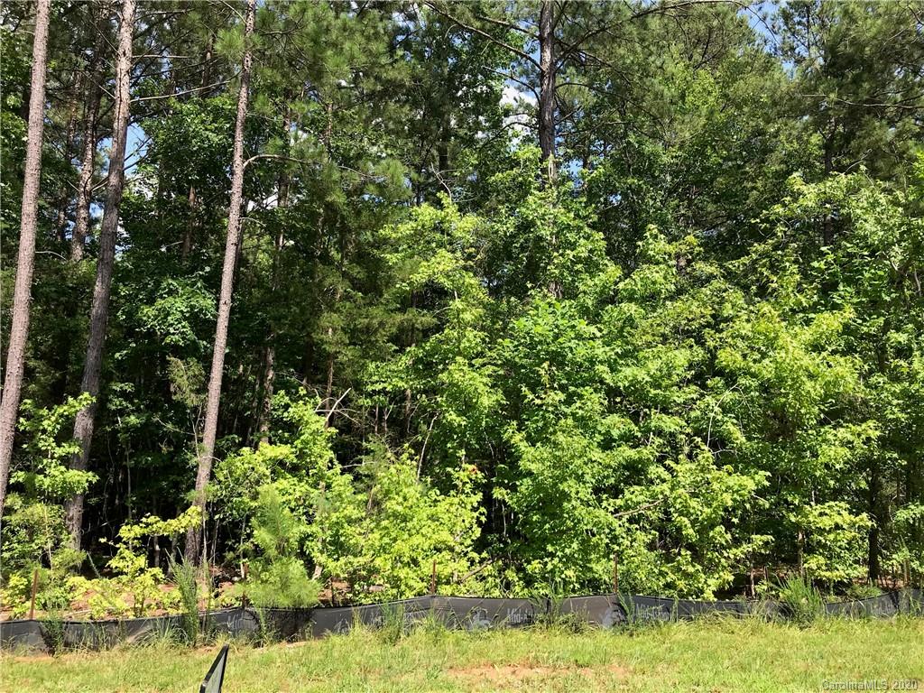 Virginia's Woods - Land