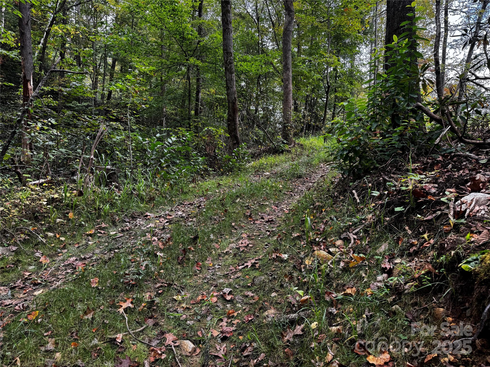 0 Mt Hebron Road