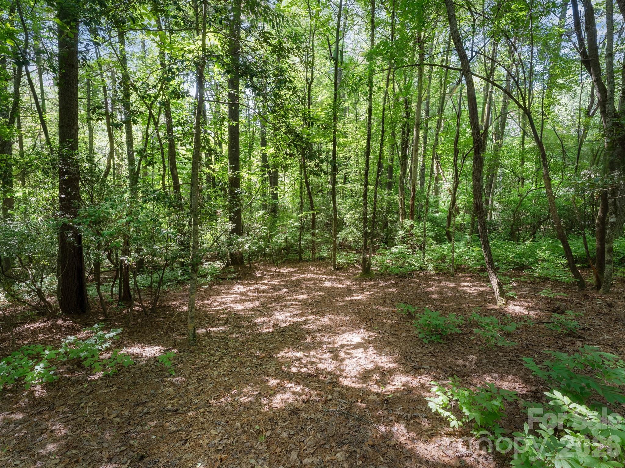 Lot 161 Eagle Lake Drive
