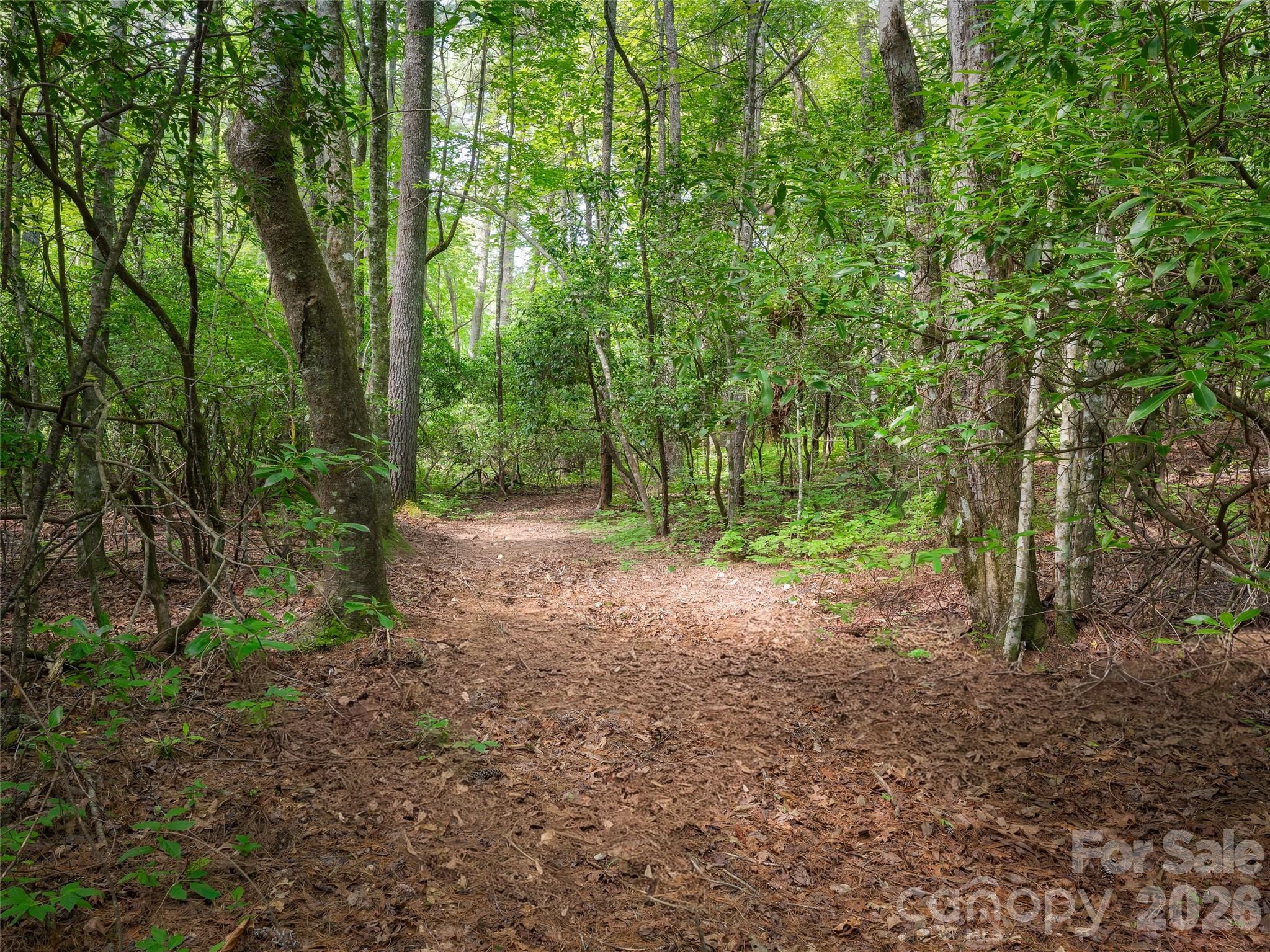 Lot 161 Eagle Lake Drive