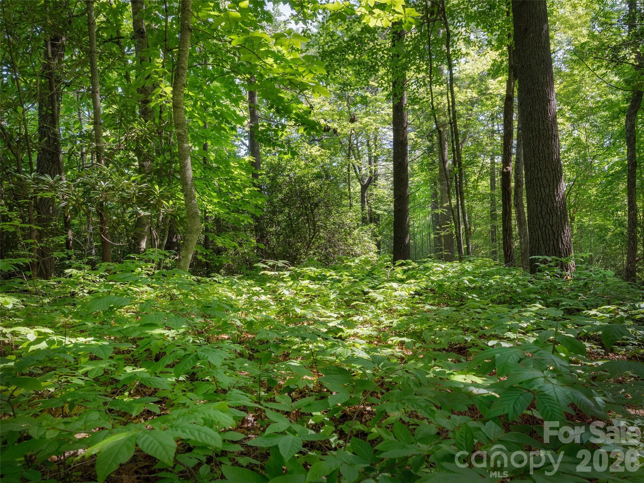 Lot 161 Eagle Lake Drive, Brevard, NC, 28712