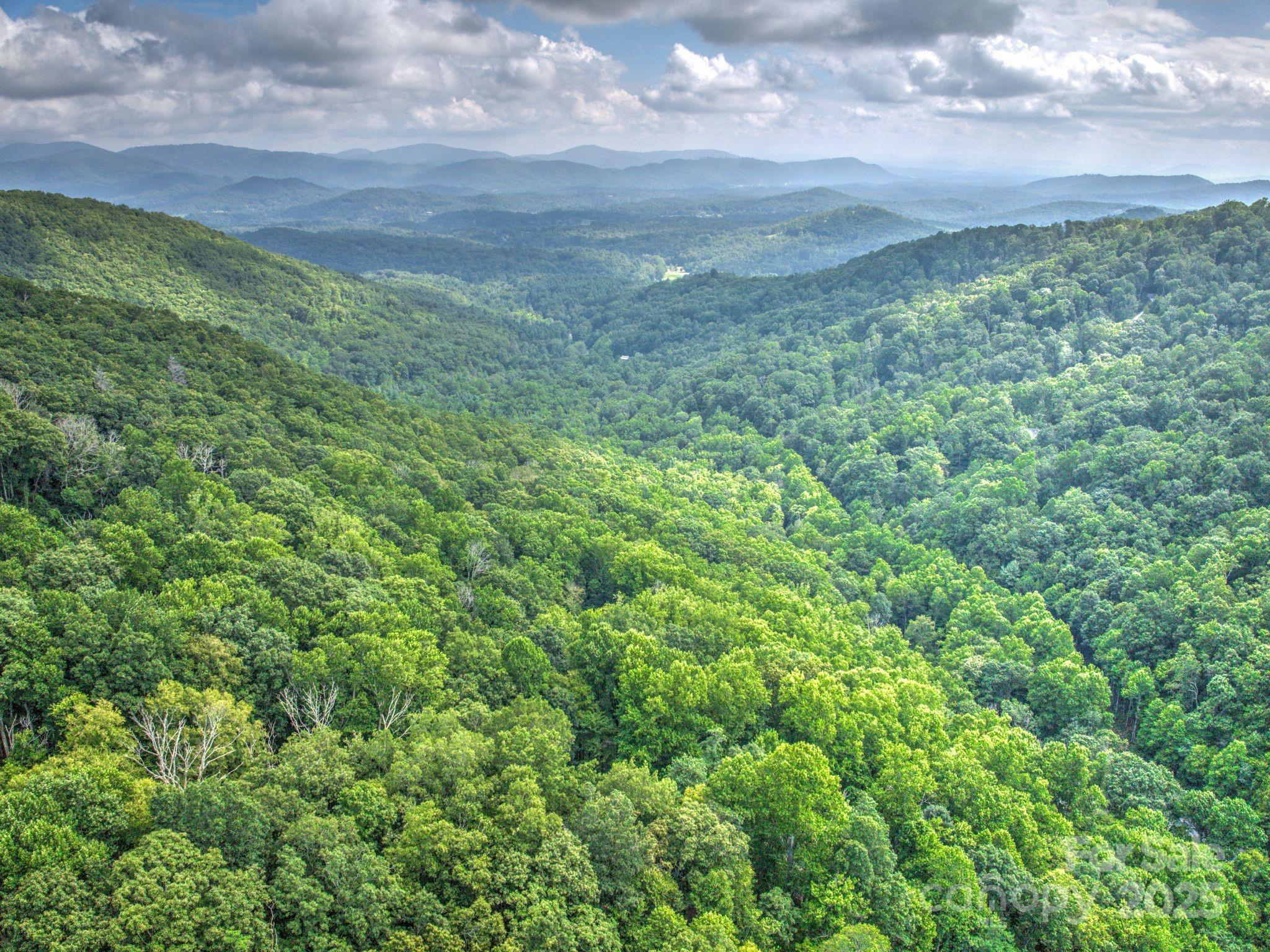 48 Black Oak Forest Road