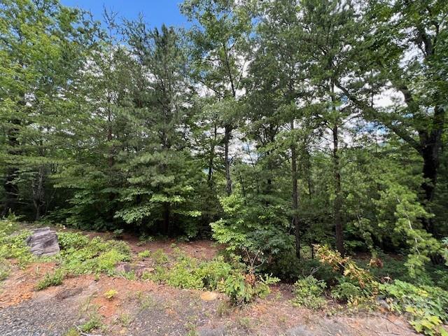 Lot 35A N Oakwood Drive 35A