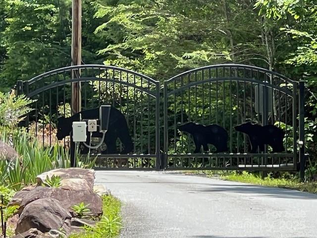 Linville Mountain Acres - Land