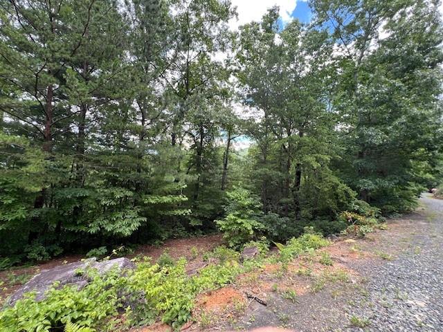 Linville Mountain Acres - Land