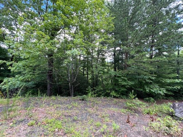 Lot 35A N Oakwood Drive 35A