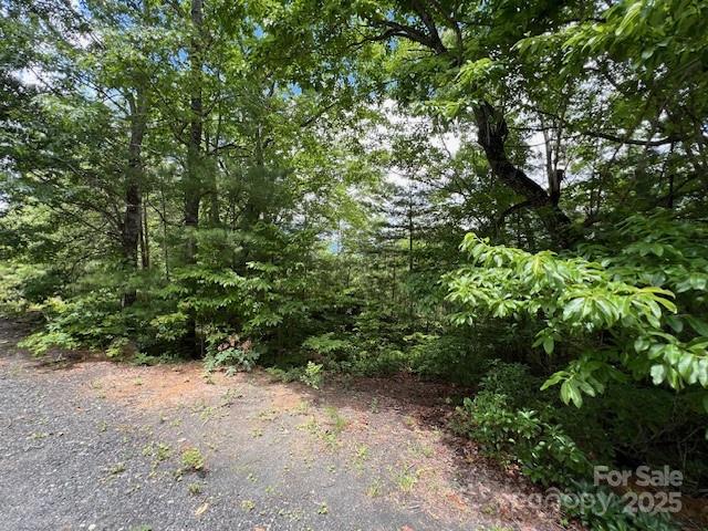 Linville Mountain Acres - Land