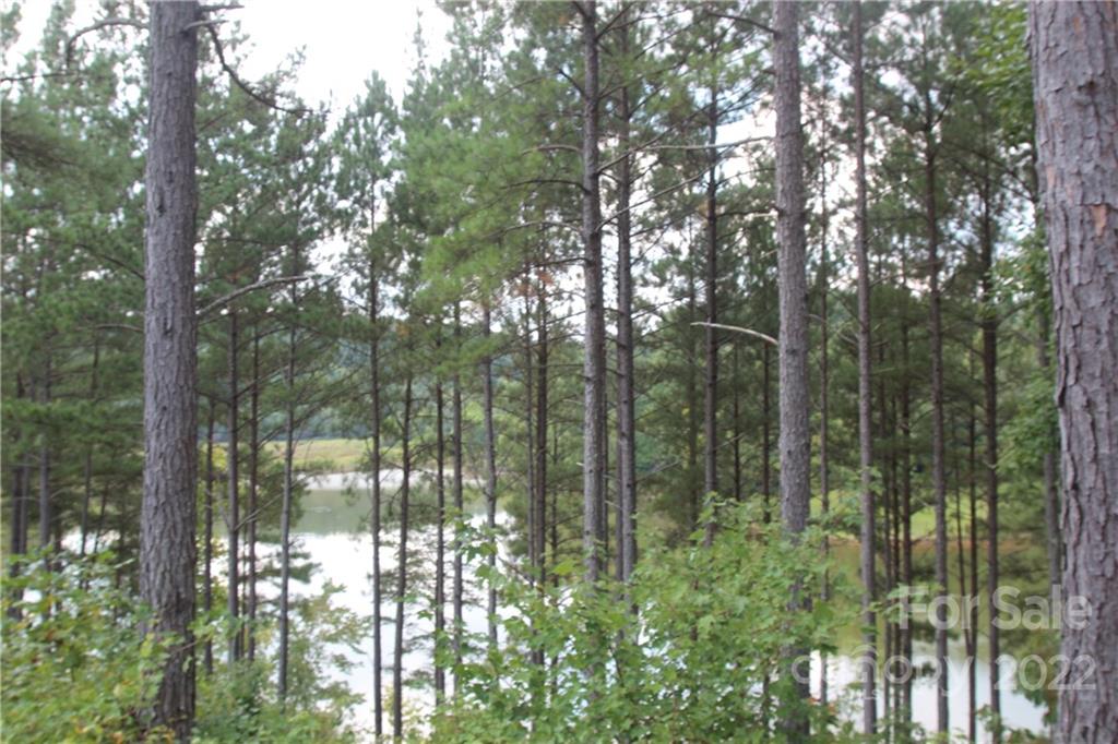 Island Pointe at Lake Vistas - Land