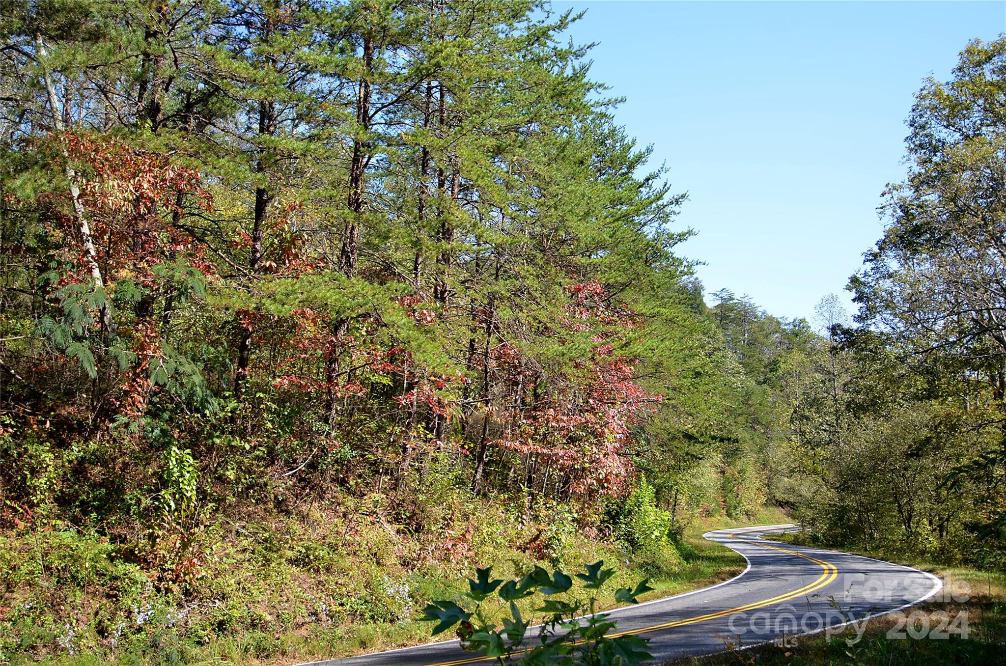 00 Painters Gap Road