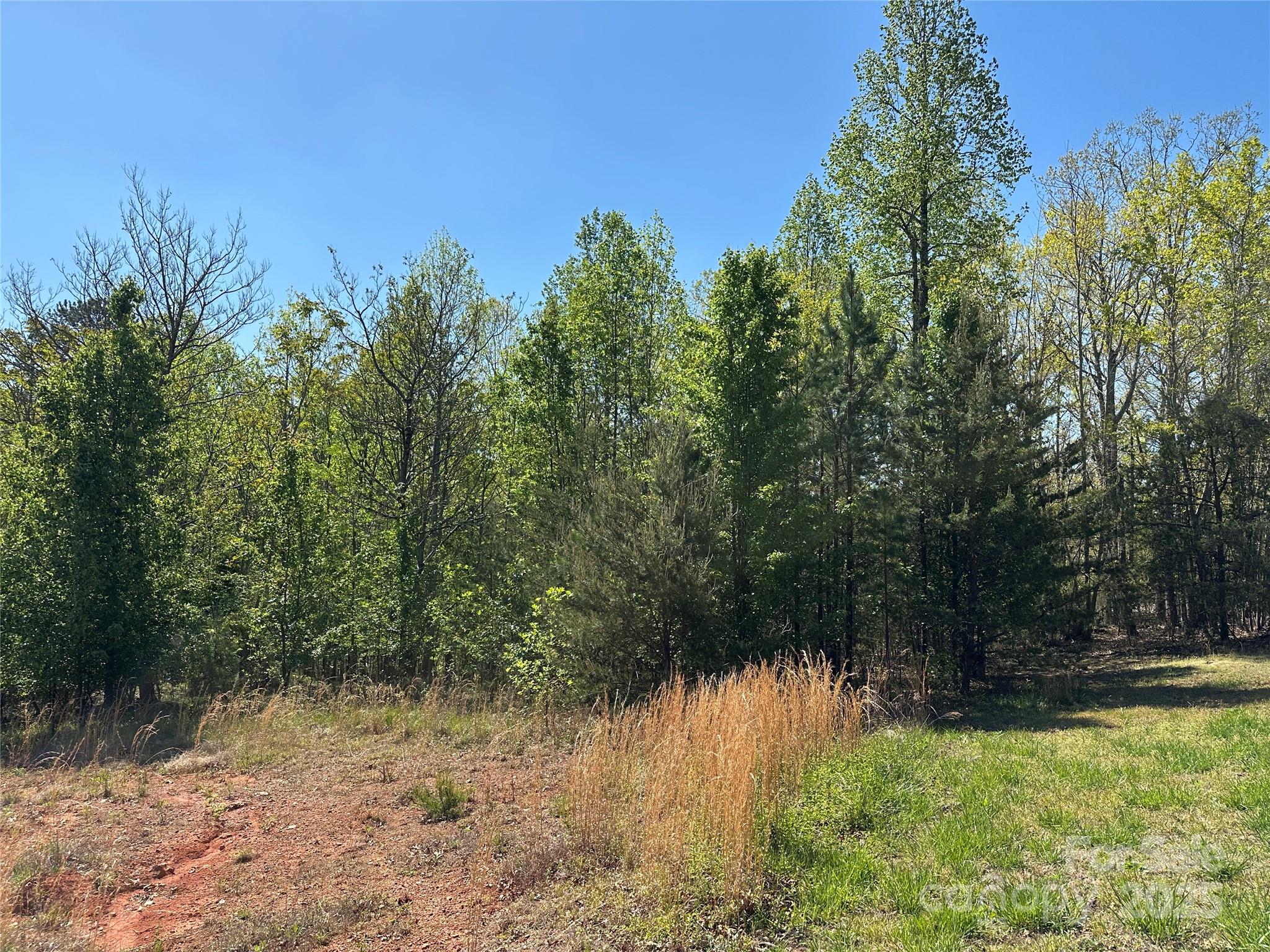 Lot 4 Celestial Drive